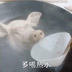 示例图片